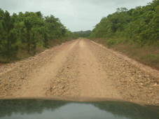 Belize Dirt Road